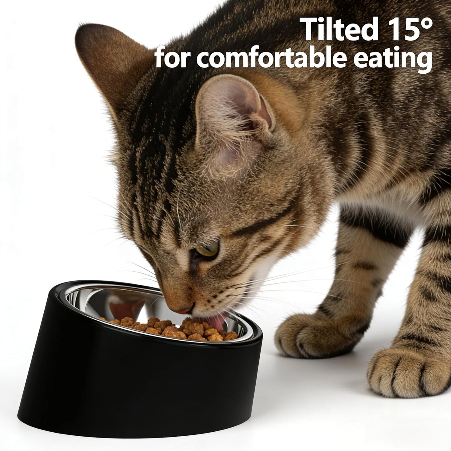 15° Tilted Elevated Dog Bowl, Non-Slip No-Spill Stainless Steel Pet Feeder, Detachable 2-in-1 Food & Water Dish for Medium Dogs (Like French Bulldog) and Cats, Anti-Choke, Black (Size M)