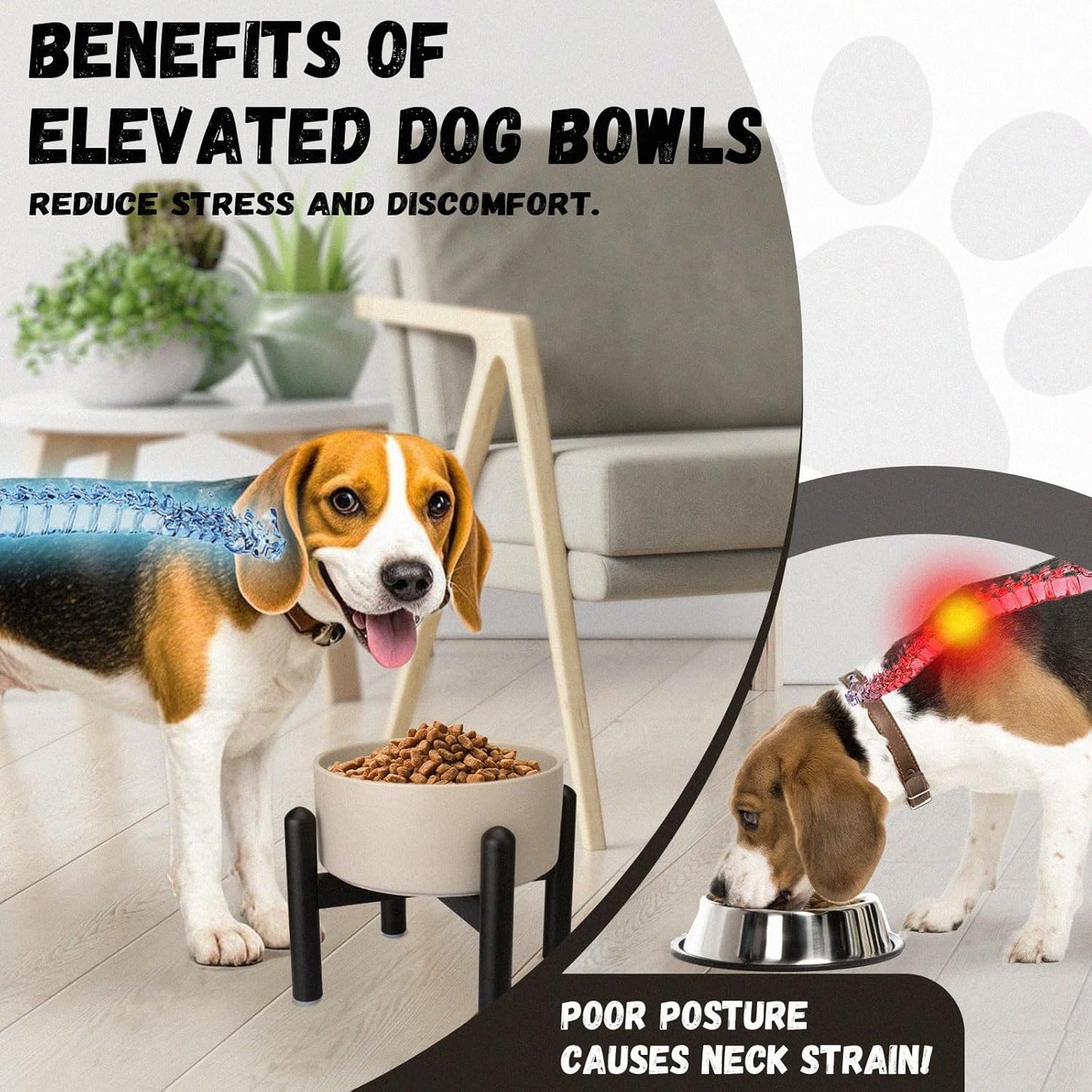Raised Ceramic Dog Bowl - Elevated Food Water Dish with Stainless Steel Stand - for Small to Medium Dogs - 6 Inch - 2 Cups (28.75 fl oz) - Black