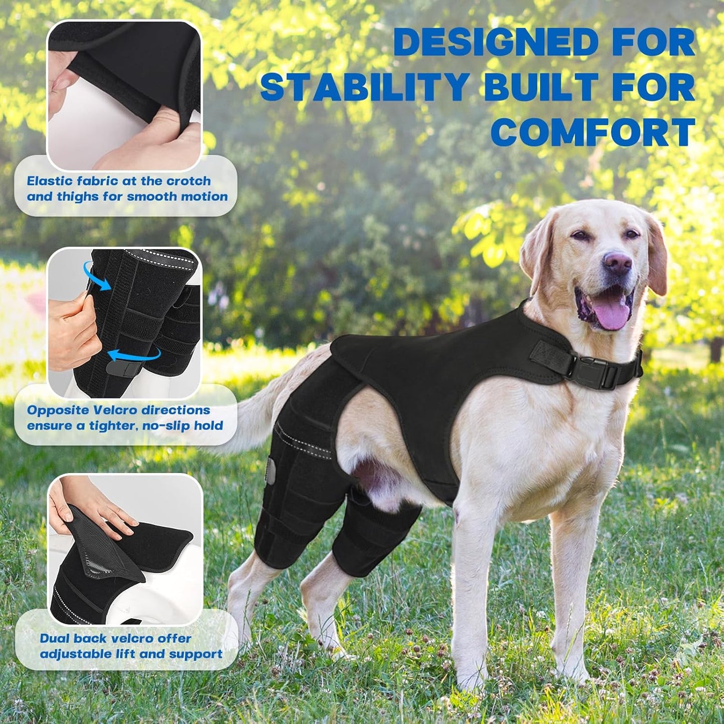 Dog Knee Brace for Torn ACL Hind Leg, Dog Leg Braces for Back Leg Support with 4 Metal Stabilizers Helps with Torn CCL, Luxating Patella, Ligament Injuries, Hip Dysplasia,S