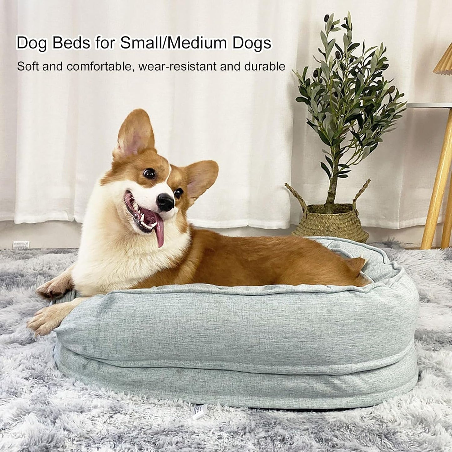 Dog Beds for Small & Medium Dogs, Memory Foam Dog Couch Bed with Washable Removable Cover, Bolster Pet Bed with Waterproof Lining Non-Slip Bottom, Soft Comfy Dog Sofa (Medium,Green) (Dark grey Small)