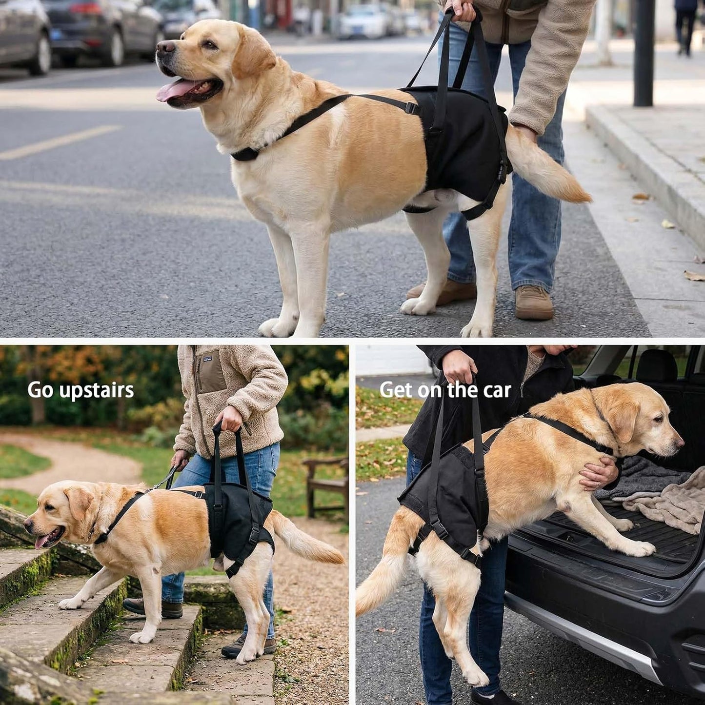 NOYAL Supet Dog Lift Sling for Large Dogs – Hind Leg Support Harness for Senior, Injured, Disabled Dogs, Rear Leg Mobility Aid, Padded Handle for Stairs, Car, Walk