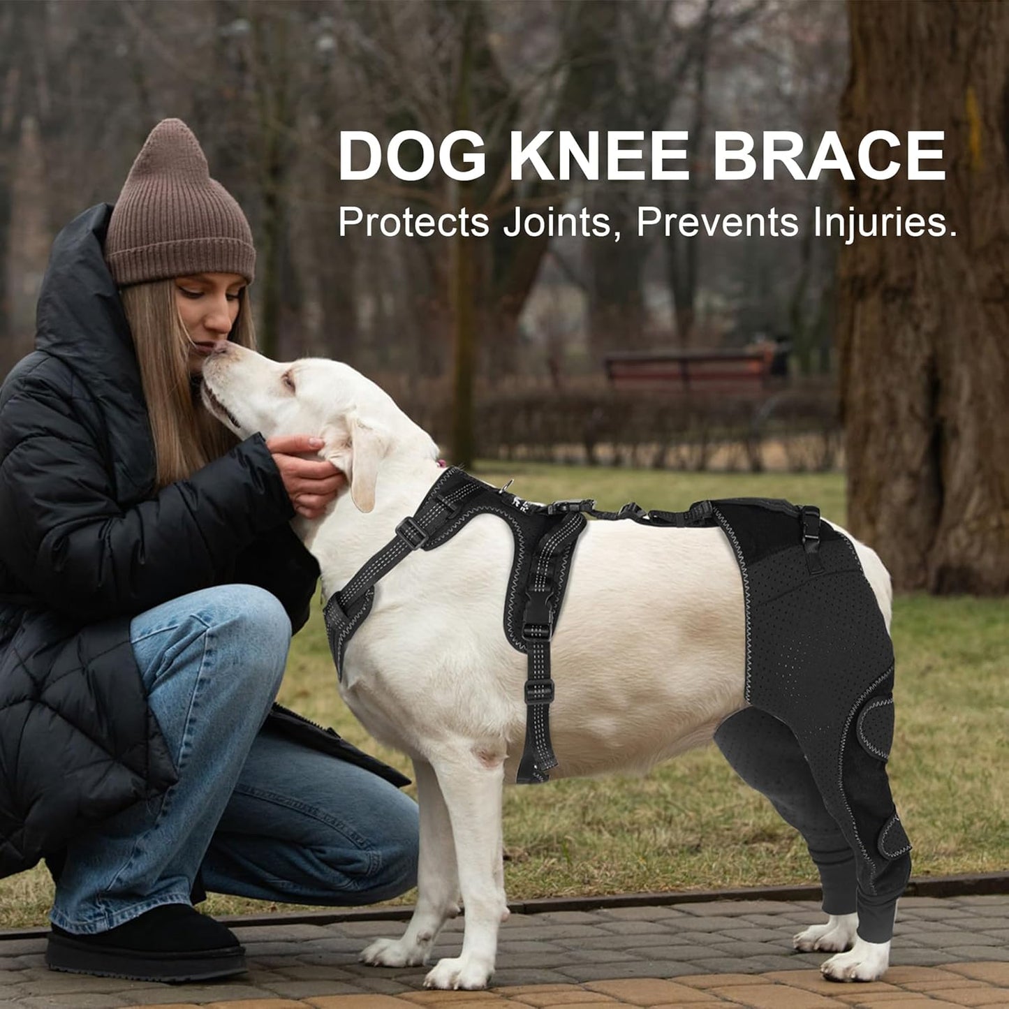 Dog Hind Leg Brace - Support for Pets with ACL Injuries, Keeps Knee Joints Warm and Stable, Adjustable Dogs Rear Leg Wrap Harness Personalized Set for Leg Wound Care Prevents Licking, M