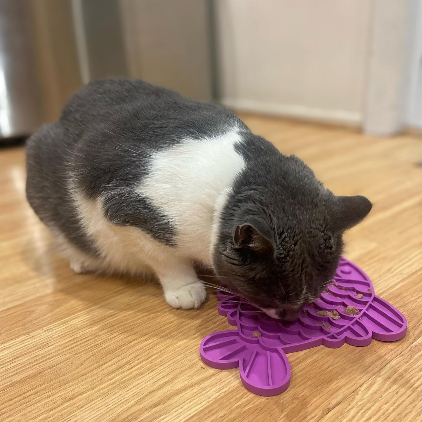 SPOT Soother Lick Mat-Licking Mat for Cats, Kittens, Medium and Large Dogs and Puppies, Food Grade Rubber, Anxiety Reliever, Dog Peanut Butter Lick Pad, Slow Feeder, 9.75inch, Fish