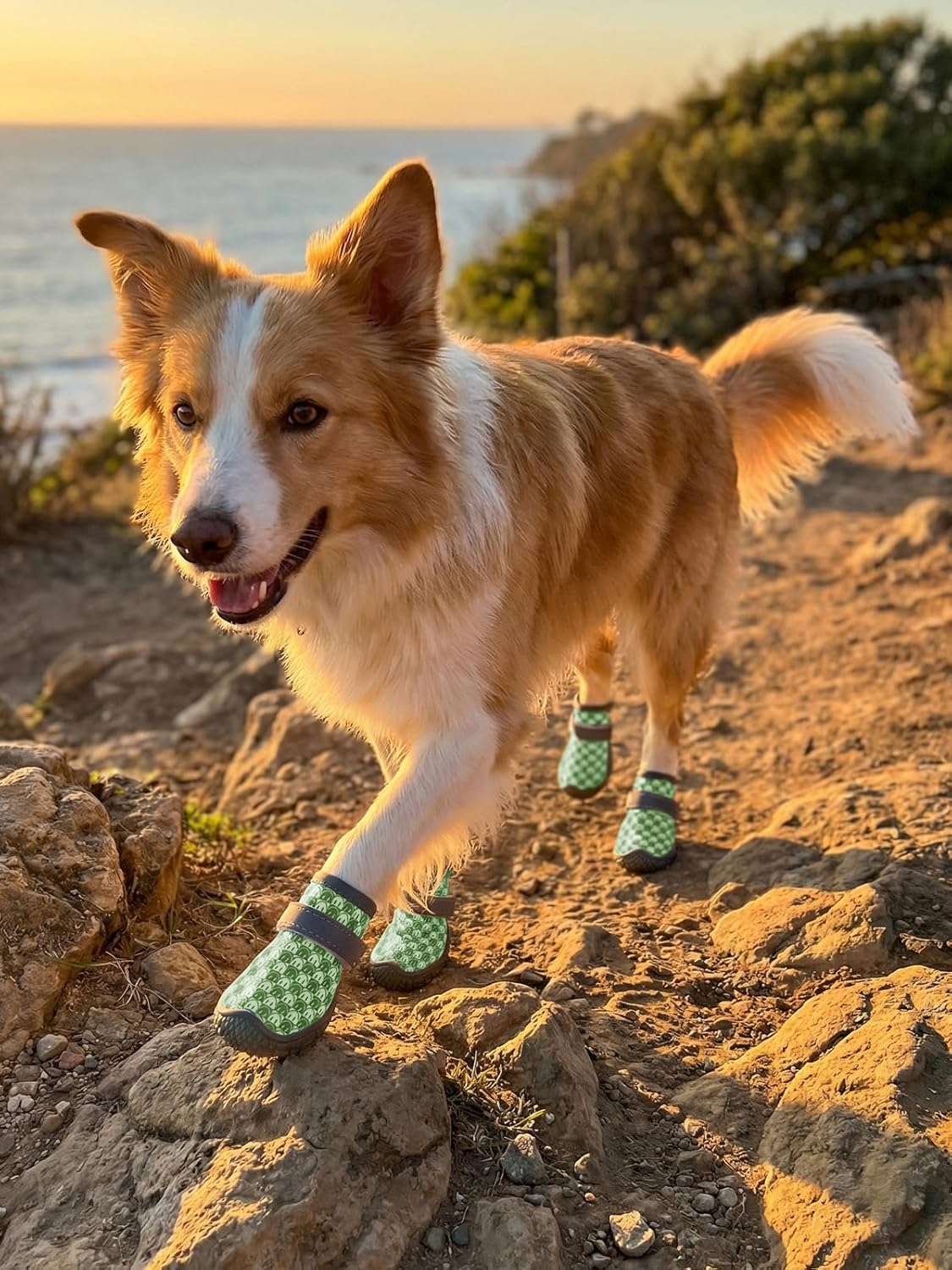 Dog Shoes Breathable Non-Slip Outdoor Booties for Small Medium Dogs, Pet Boots Paw Protector for Hot Pavement Hardwood Floors (Green, Small)