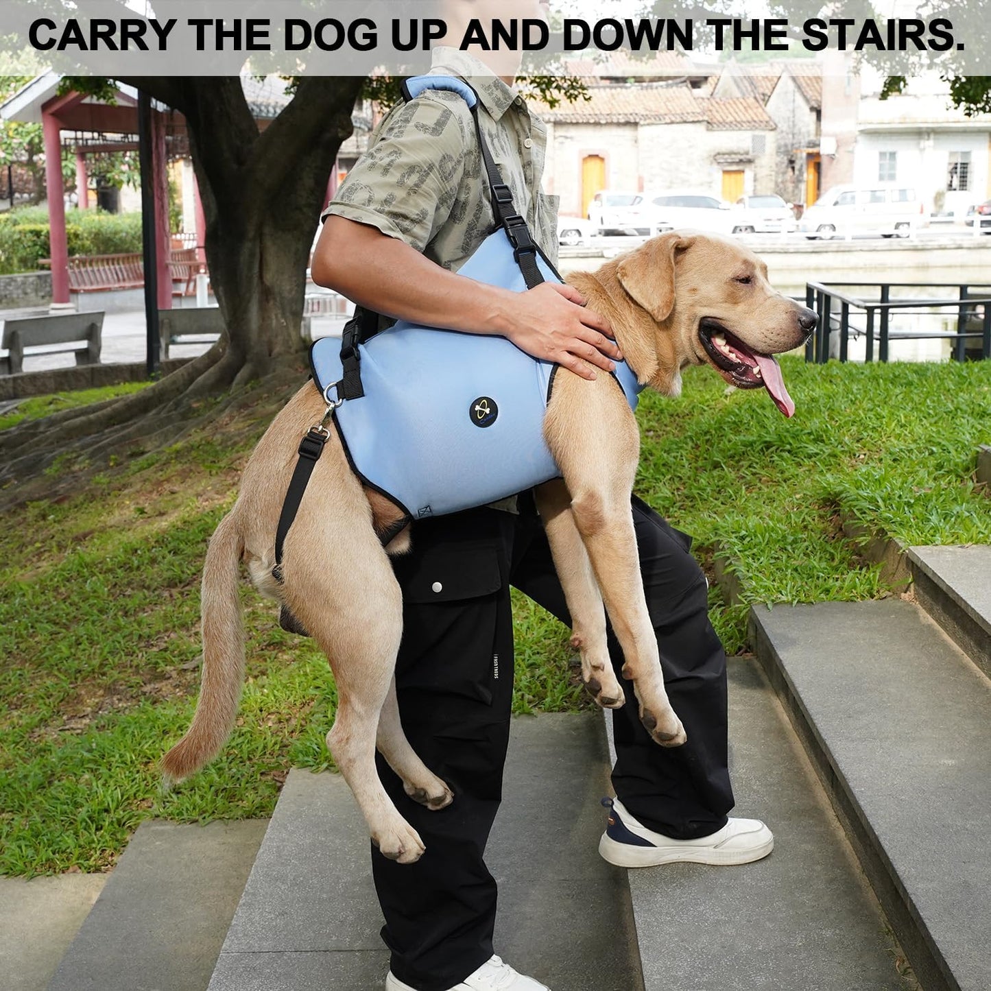 Coodeo Dog Lift Harness, Pet Support & Rehabilitation Sling Lift Adjustable Padded Breathable Straps for Old, Disabled, Joint Injuries, Arthritis, Loss of Stability Dogs Walk (Blue, M)