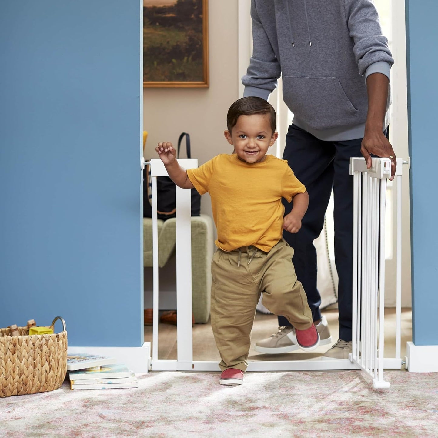 Safety 1st Pressure Mounted Baby Gates for Doorways with SecureTech, Baby Gate with Door, Pet-Friendly Design, No Drilling, 29-38"