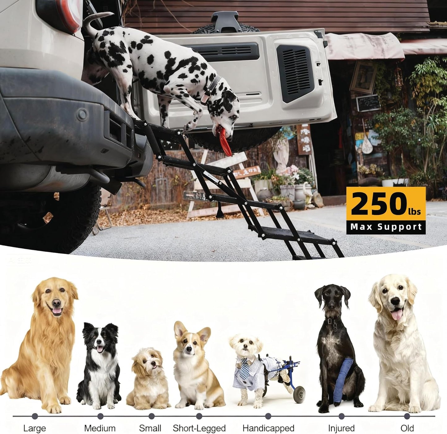 Dog Stairs 4 Steps Foldable Dog Ramp with Non-Slip Surface, Portable Dog Steps for Cars,SUV and Truck, Supports up to 250 lbs