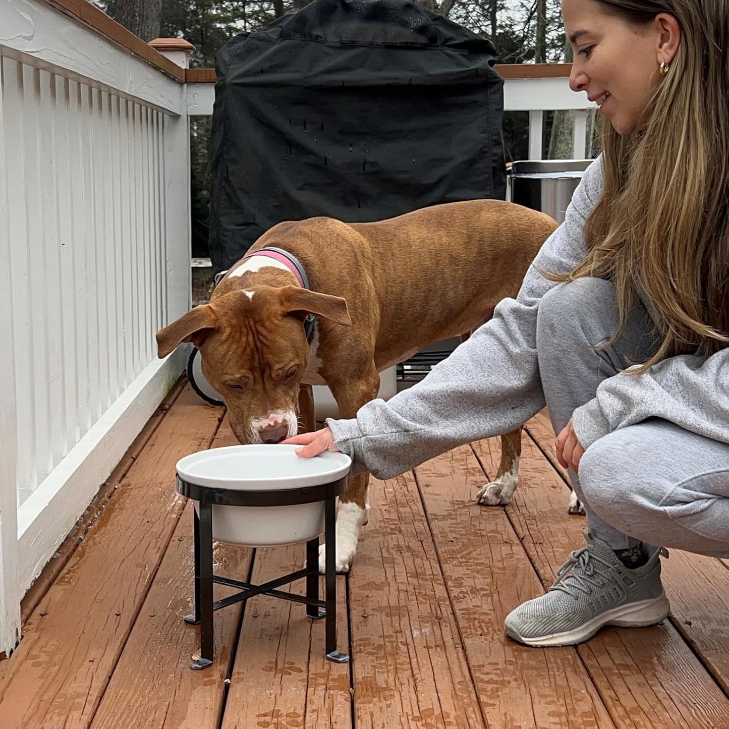 BestVida® Elevated Dog Bowls,Pet Stand, Raised Dog Bowls, Single Bowl Stand