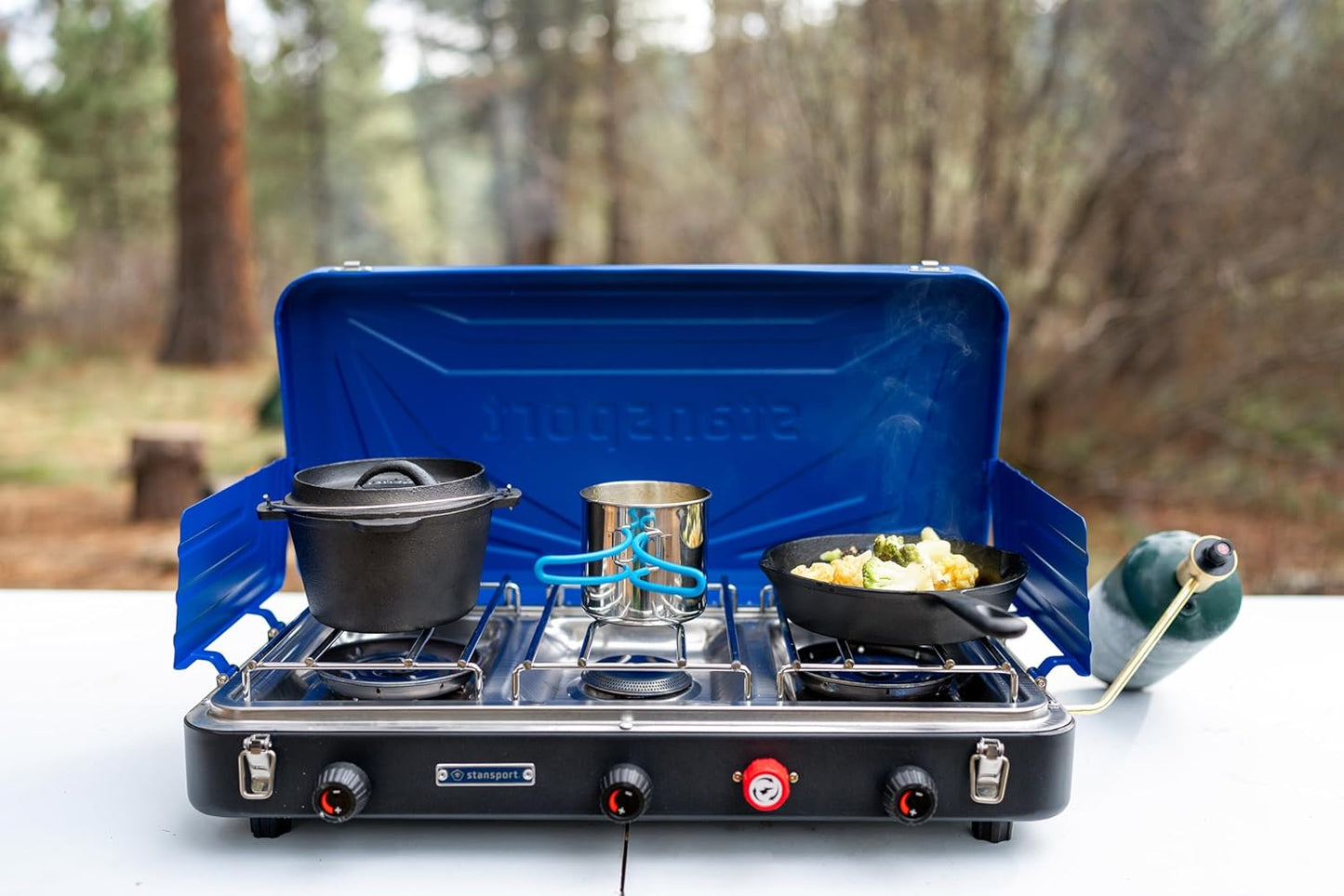 Stansport Pre-Seasoned Cast Iron Dutch Oven