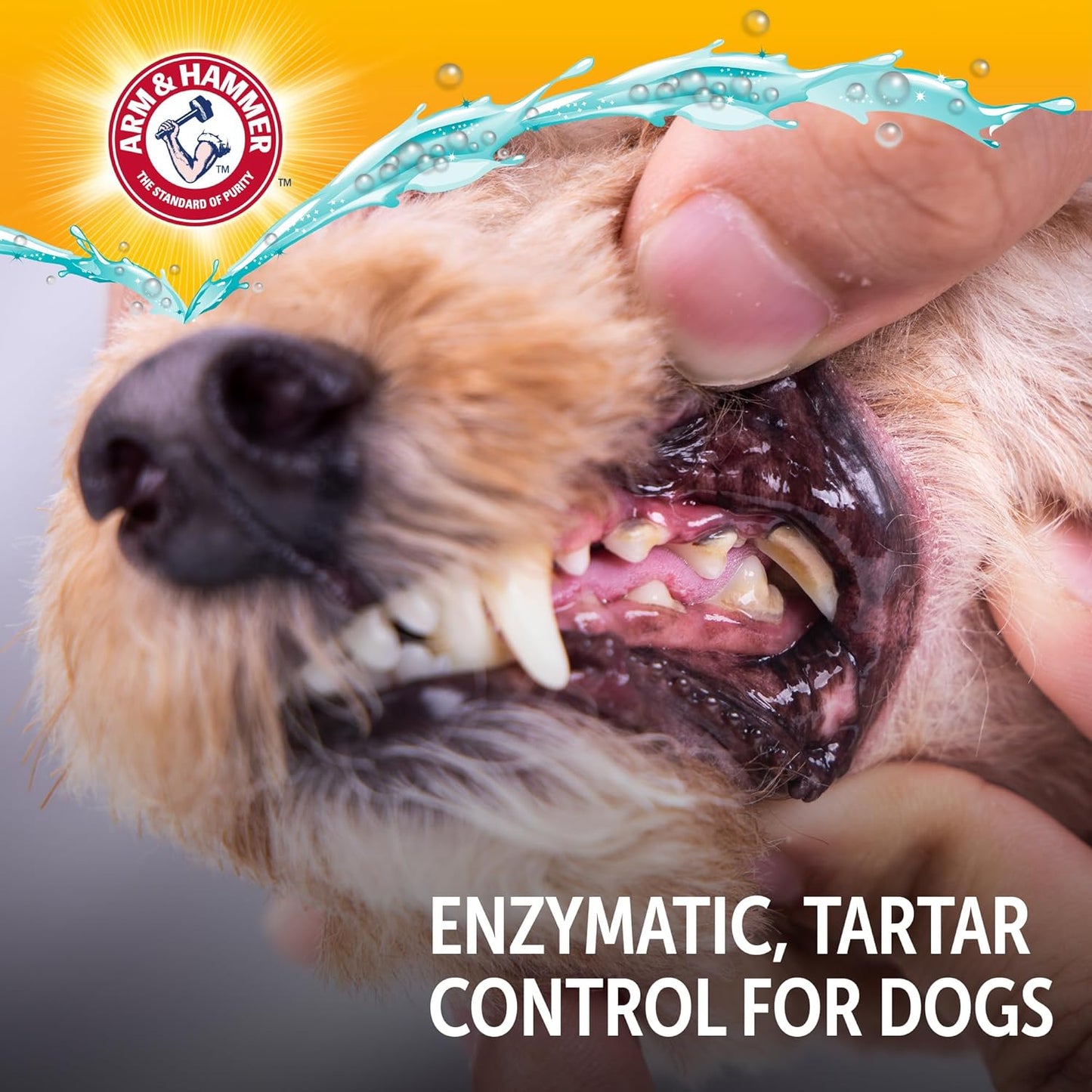 Arm & Hammer Complete Care Enzymatic Dog Toothpaste with Baking Soda and Calcium, Fluoride Free Formula for Plaque Tartar Control and Fresh Breath, Chicken Flavor, 6.2 Oz