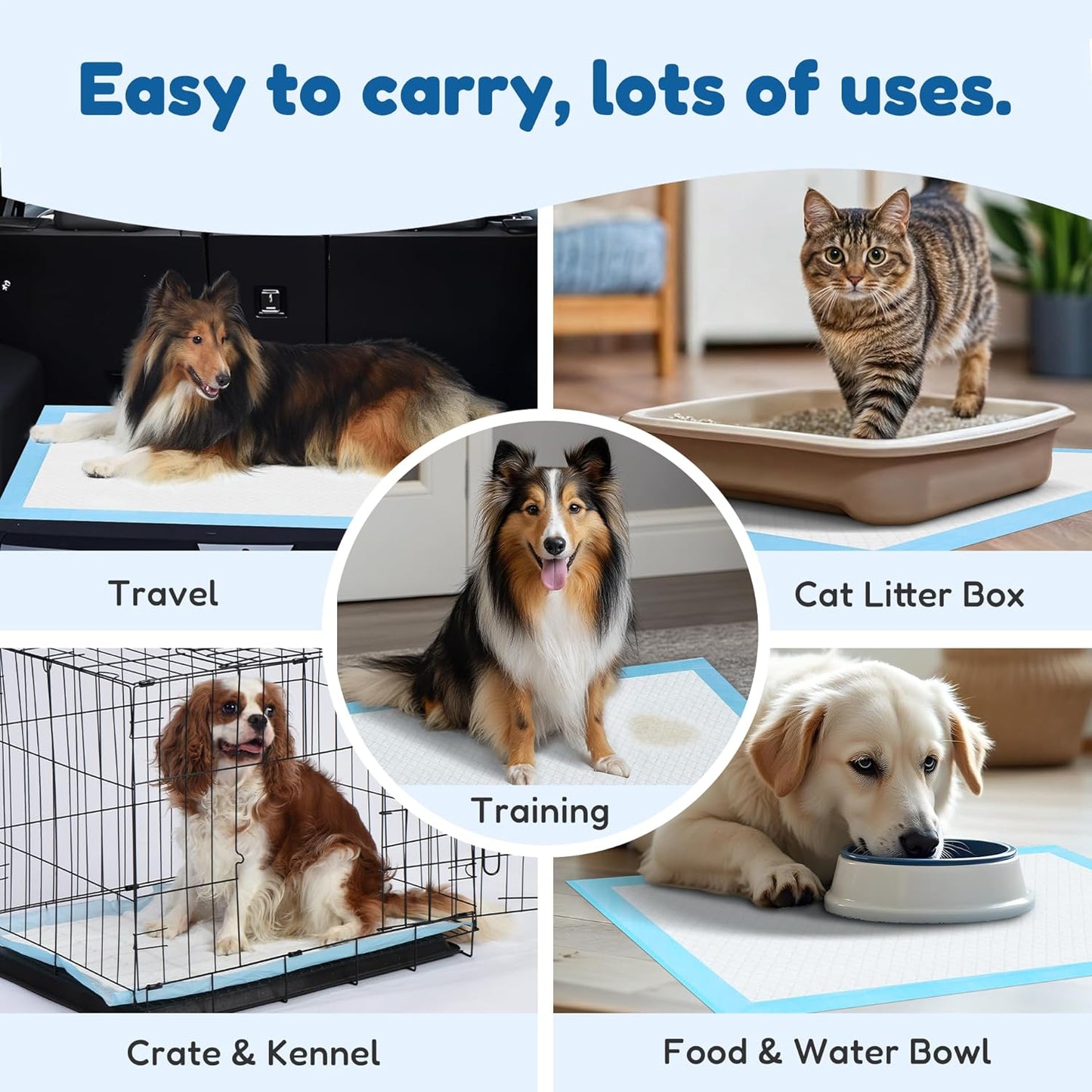 Super Absorbent Waterproof Dog and Puppy Pet Training Pad, Housebreaking Pet Pad, 50-Count Extra Middle-Size, 28’’X30’’, Blue
