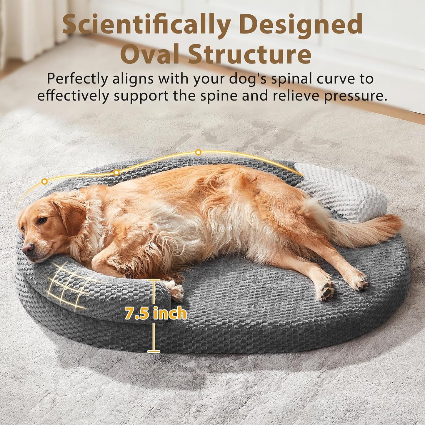 JOEJOY Orthopedic Dog Beds Large Sized Dog, XL Washable Waterproof Large Dog Bed with Removable Cover, Extra Large Egg-Crate Foam Pet Bed with Bolster Sides & Non-Skid Bottom, Dark Grey, 42''x31''