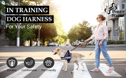 Service Dog in Training Vest - Adjustable No Pull Dog Harness with Patches. in Training Dog Vest for Service Dogs Small, Medium and Large Easy On/Off Dog in Training Harness for Service Dog Training