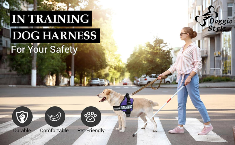 Service Dog in Training Vest - Adjustable No Pull Dog Harness with Patches. in Training Dog Vest for Service Dogs Small, Medium and Large Easy On/Off Dog in Training Harness for Service Dog Training