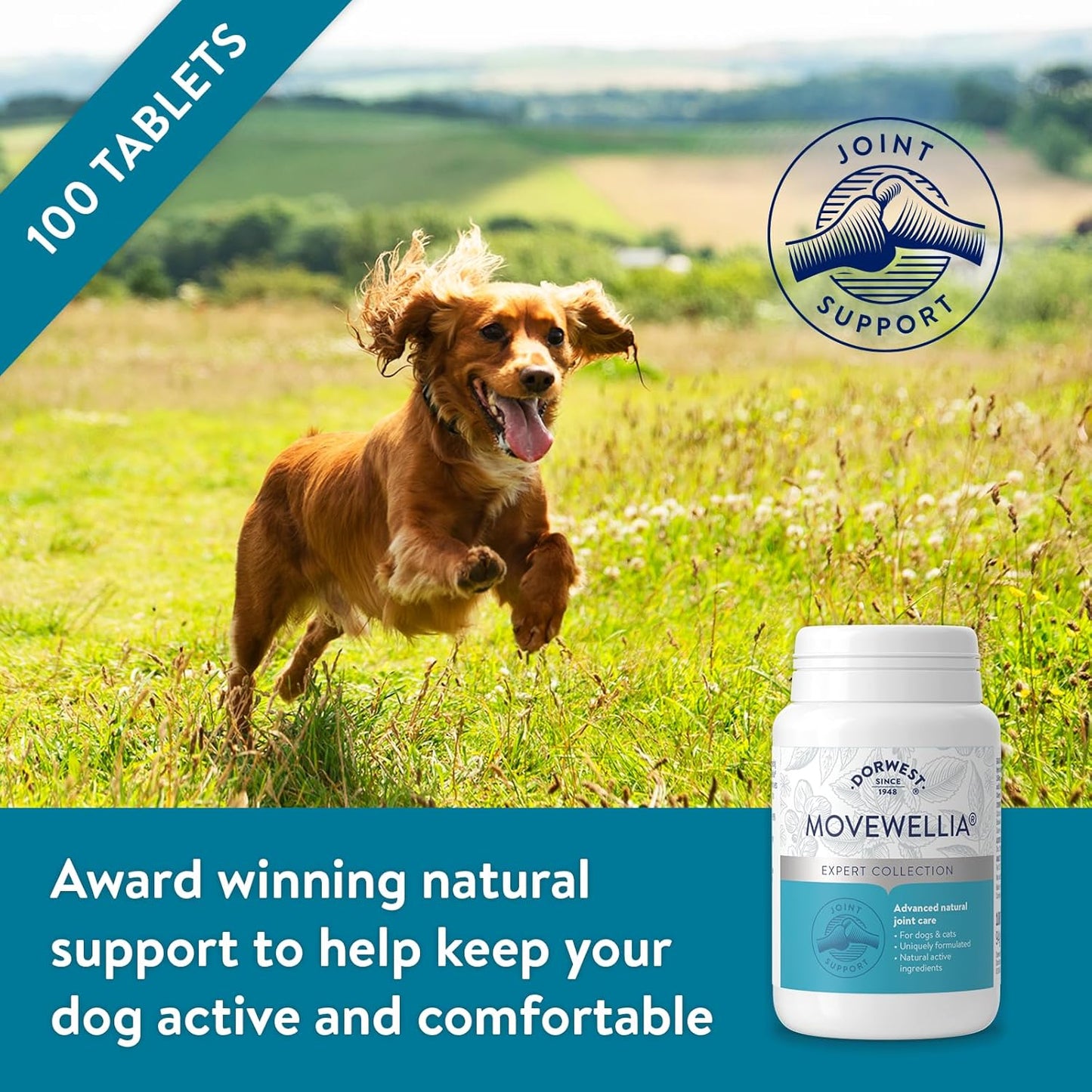 Dorwest MoveWellia 100 Tablets