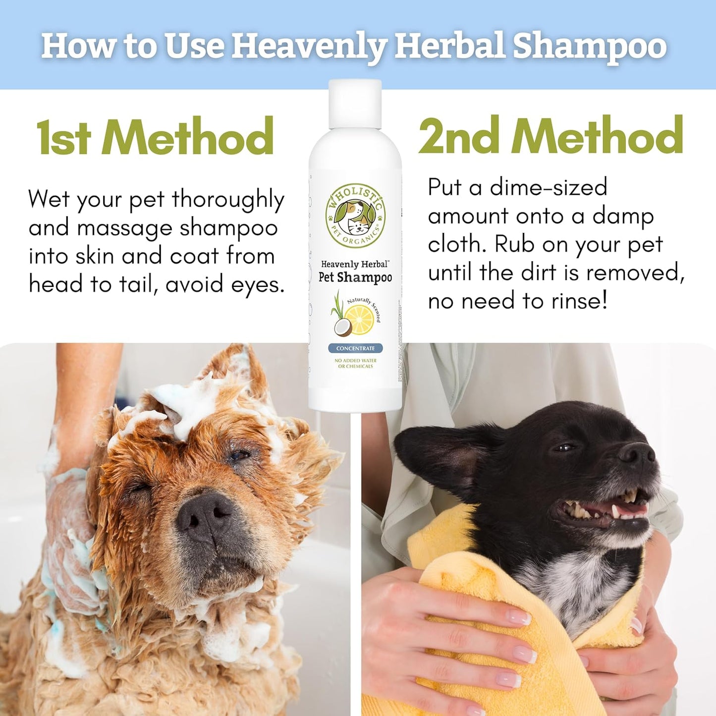 Wholistic Pet Organics Pet Shampoo Concentrate: USDA Organic Cat and Dog Shampoo for Sensitive Skin and Coat Support - Mild and Non-Irritating, Natural, Non-Toxic, Sulfate-Free, & Cruelty-Free - 8 Oz