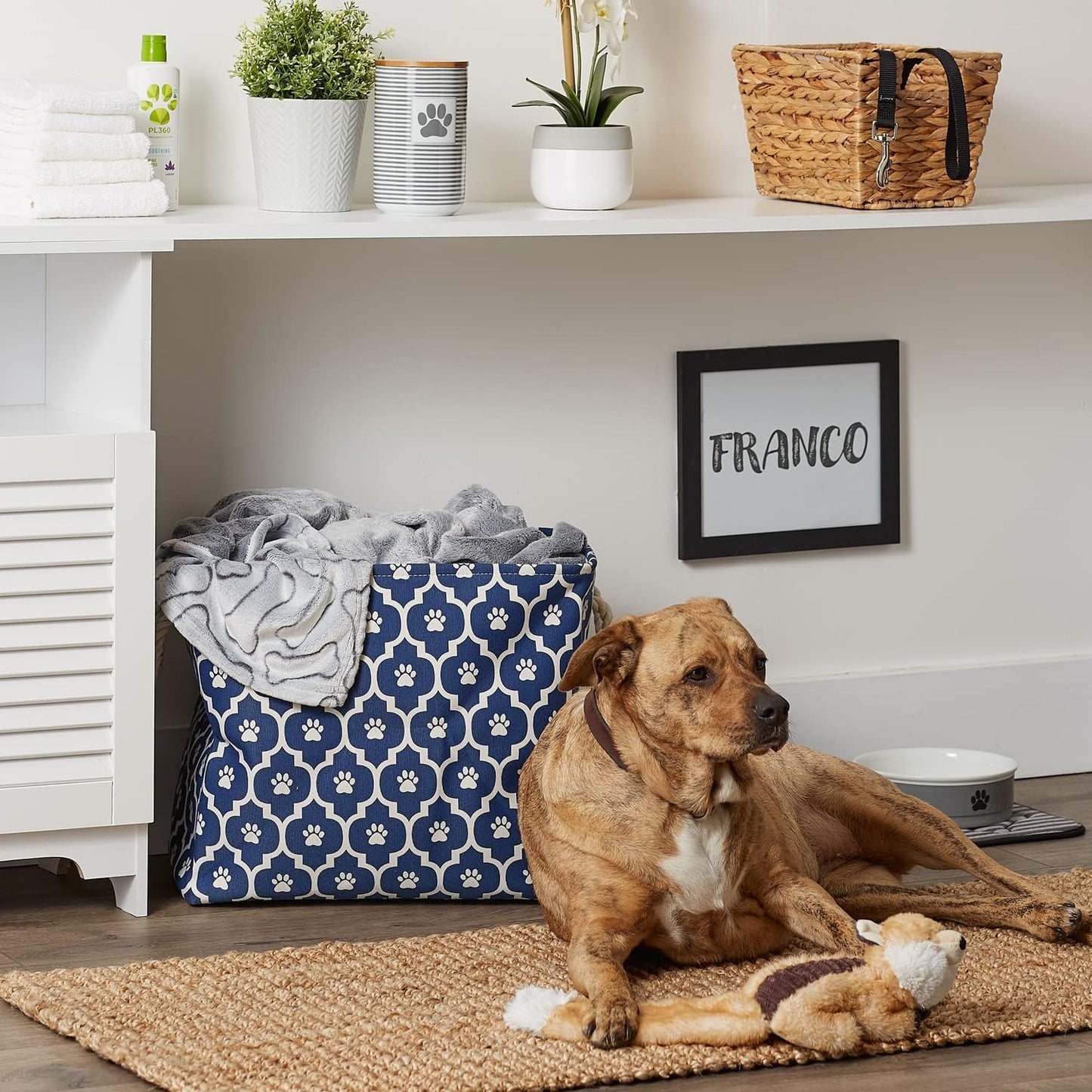 Bone Dry Pet Storage Collection Lattice Paw Print, Nautical Blue, Large Rectangle