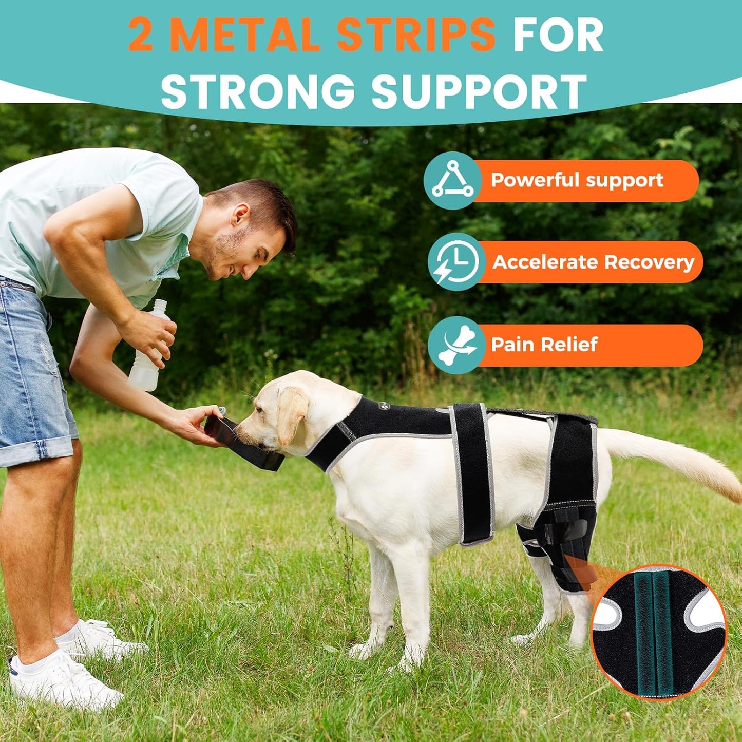 Adjustable Dog Knee Brace for Hind Leg - Double Leg Orthopedic Support with 4 Metal Stabilizers, Vest Design Dog Leg Brace for ACL/CCL Tear, Luxating Patella, Arthritis & Post-Surgery Rehab (L)