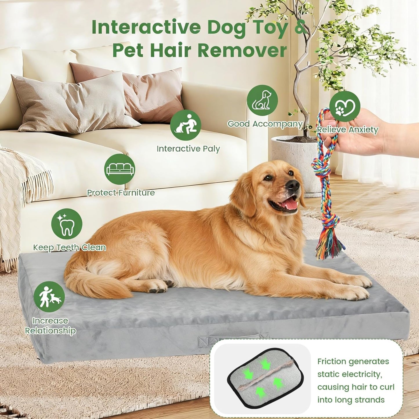 Orthopedic Dog Bed for Extra Large Dogs 44x30 Inches, 28D Egg Crate Foam Pet Bed with Non-Slip Bottom, Waterproof Dog Bed with Removable Washable Cover, Hair Removal Glove, and Chew Knot