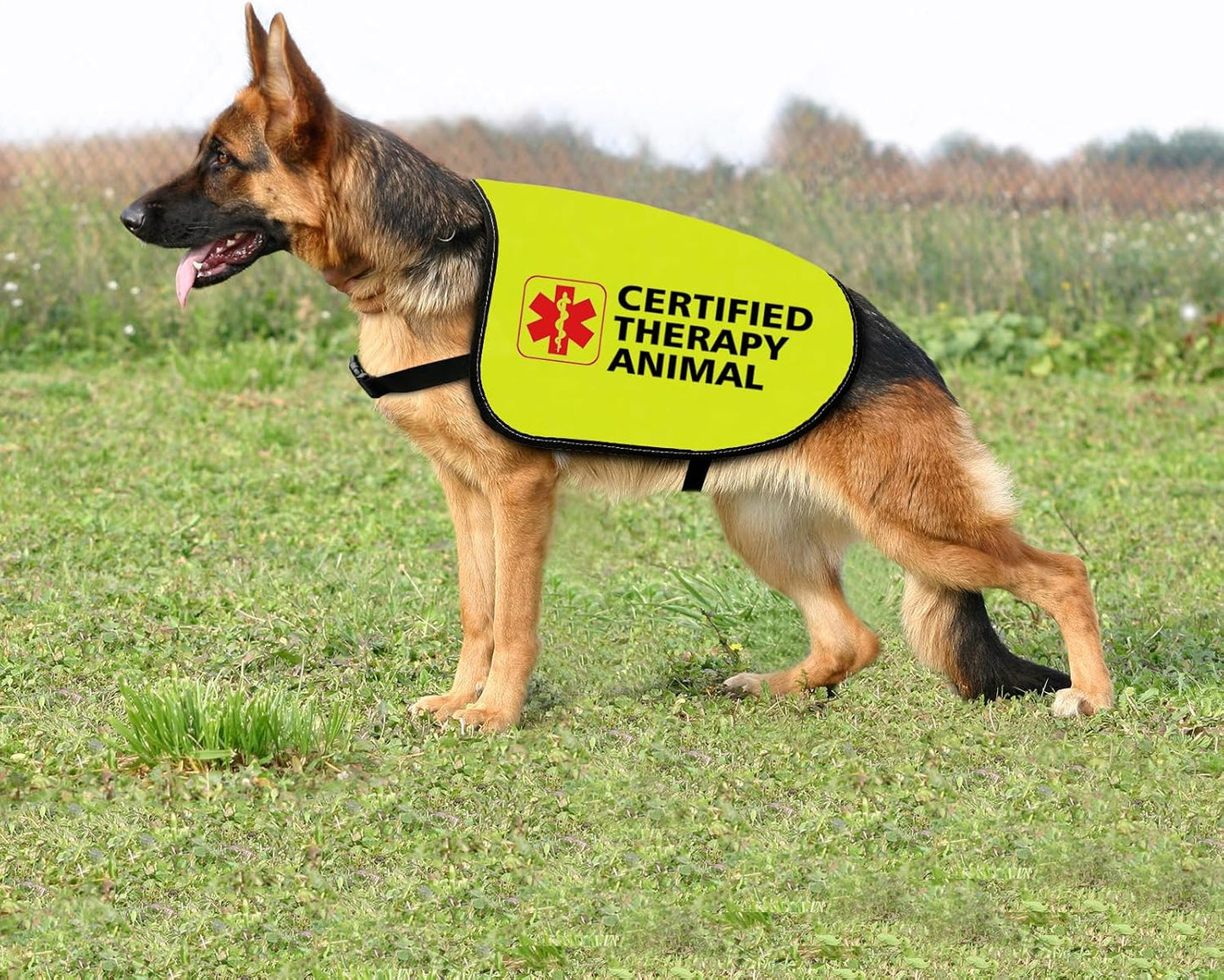 Therapy Dog Jacket Vest Certified Therapy Animal Dog Slogan Vest Social Distancing Gift Therapy Dog Team Gift (Certified Therapy-Medium)