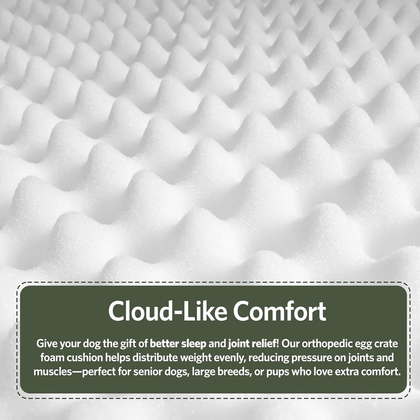 MidWest Homes for Pets Orthoperdic Egg-Crate Nesting Pet Bed w/Teflon Fabric Protector, XS Green