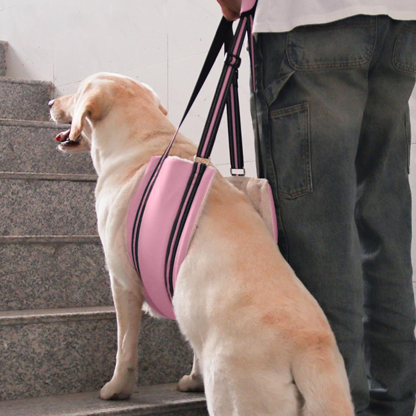 AIITLE Adjustable Dog Slings for Small Dogs - Hind Leg & Hip Support Harness, Plush Rehab Lift Aid with Reflective Straps, Assist Elderly/Injured/Post-Surgery Dogs with Mobility Issues (Pink, S)