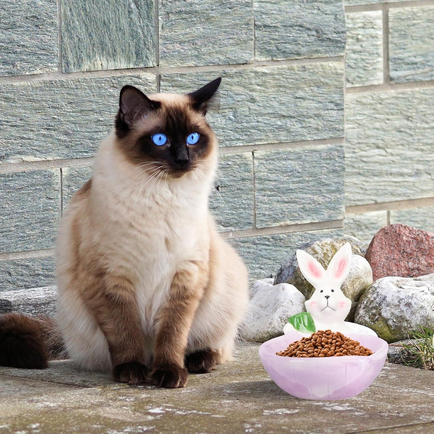 Milisten Ceramic Pet Bowl with Anti-Spill Design Purple Small Rabbit Pattern Dog and Cat Food Dish Wear-Resistant Feeding Bowl for Daily Use Compact Kitten
