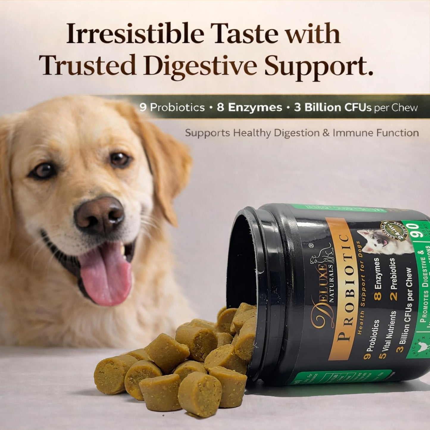Probiotic Soft Chews for Dogs – 90 Count – Digestive & Immune Support with 9 Probiotics, 8 Enzymes, 2 Prebiotics & 5 Vital Nutrients – Chicken Flavor