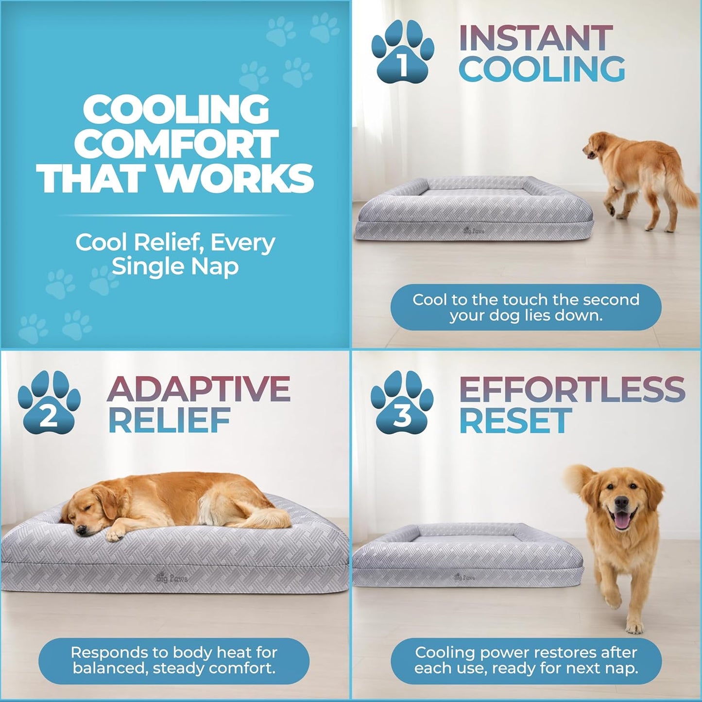 Big Paws Cooling Orthopedic Dog Bed for XL & Senior Dogs + Enclosed Support, High-Density Memory Foam, Waterproof Liners, Washable Cover