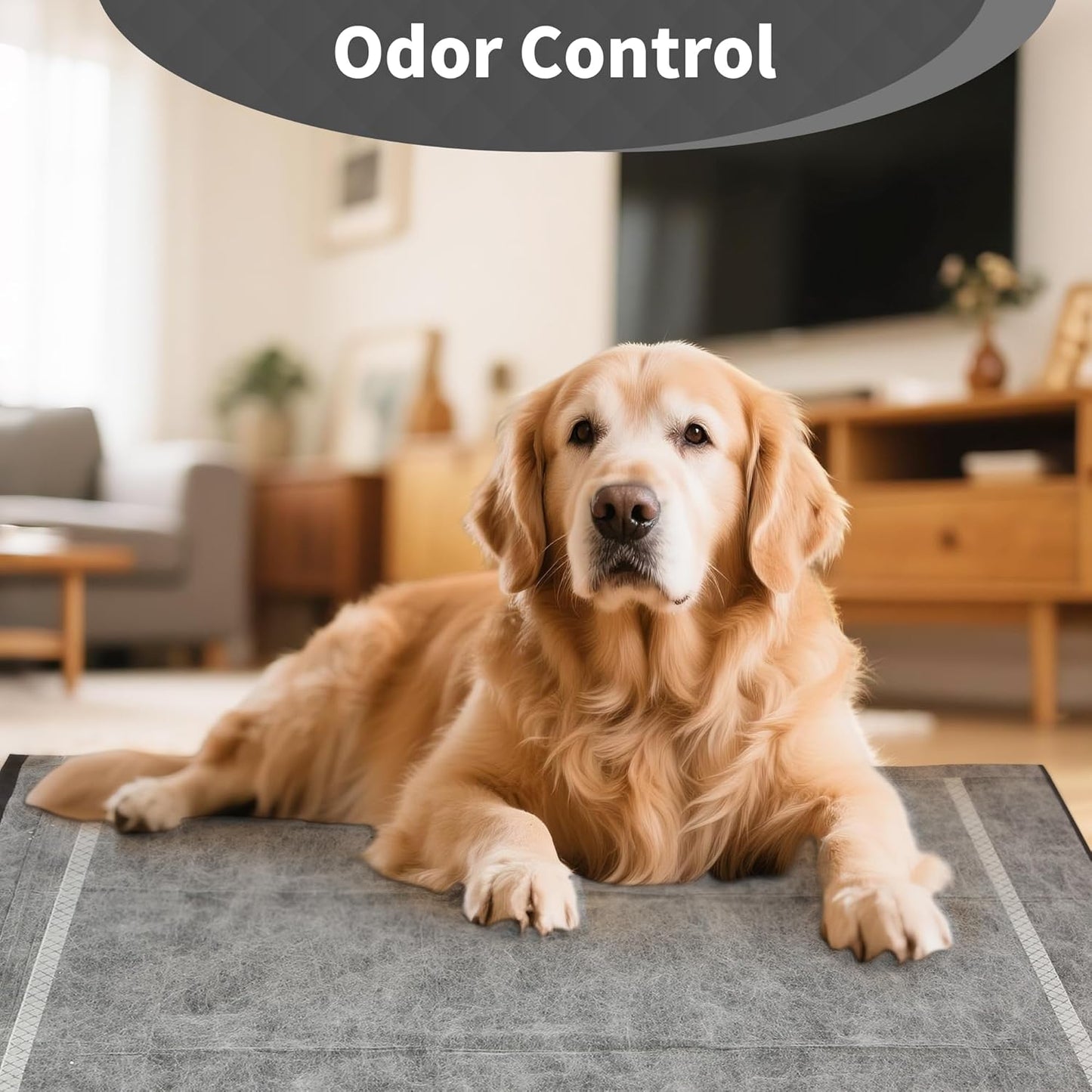 Charcoal Infused Pee Pads for Dogs 30 Count XL 6 Layer Puppy Pads with Odor Control, 28"x34" Training Underpads for Dogs, Cats, and Pets, Extra Large Wee Wee Floor and Furniture Protectors