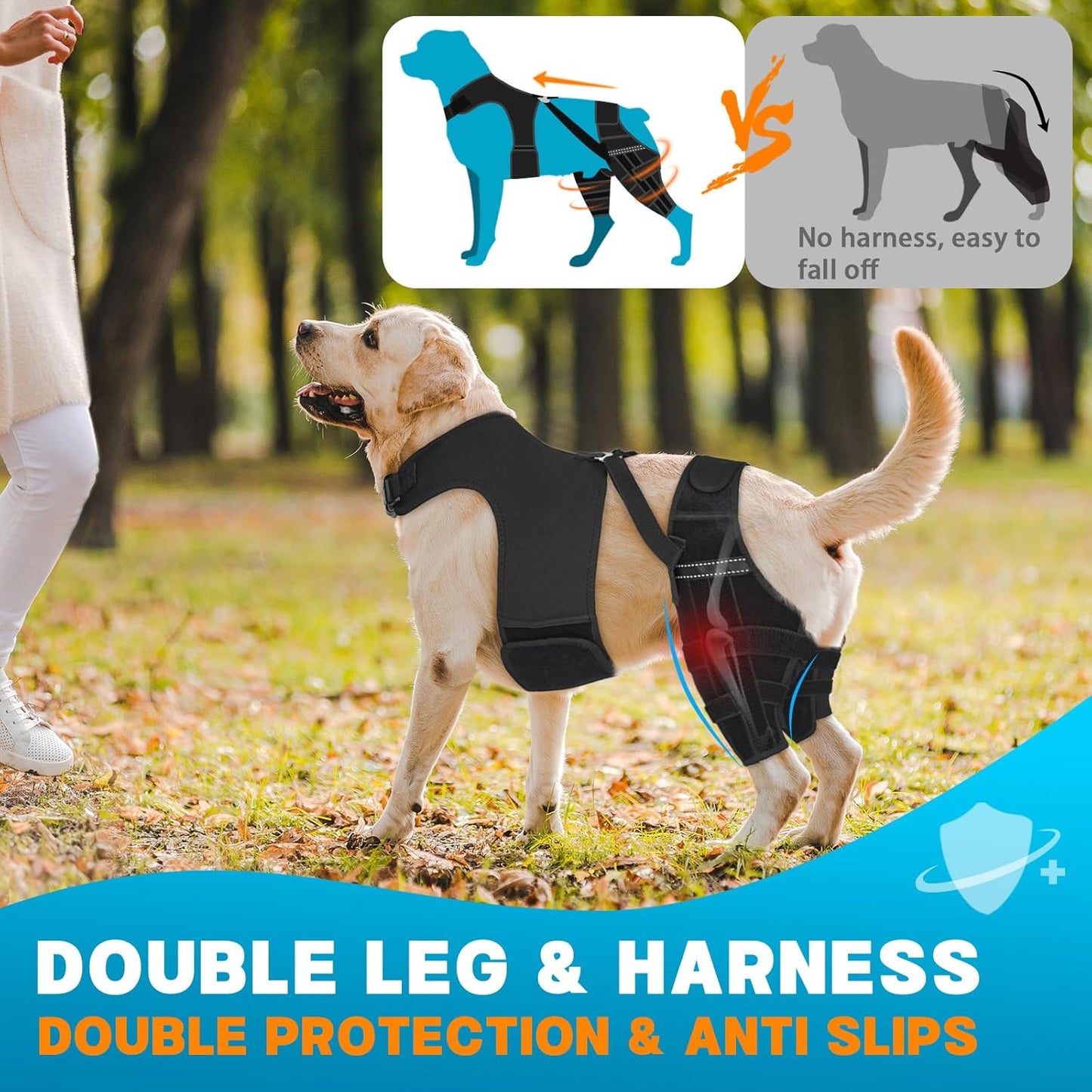 Dog Knee Brace for Back Leg, Adjustable Dog Leg Brace with 4 Stabilizers, Hip Support to Reduces Pain, Ligament Injuries & Luxating Patella & ACL CCL for Small Medium Large Dogs