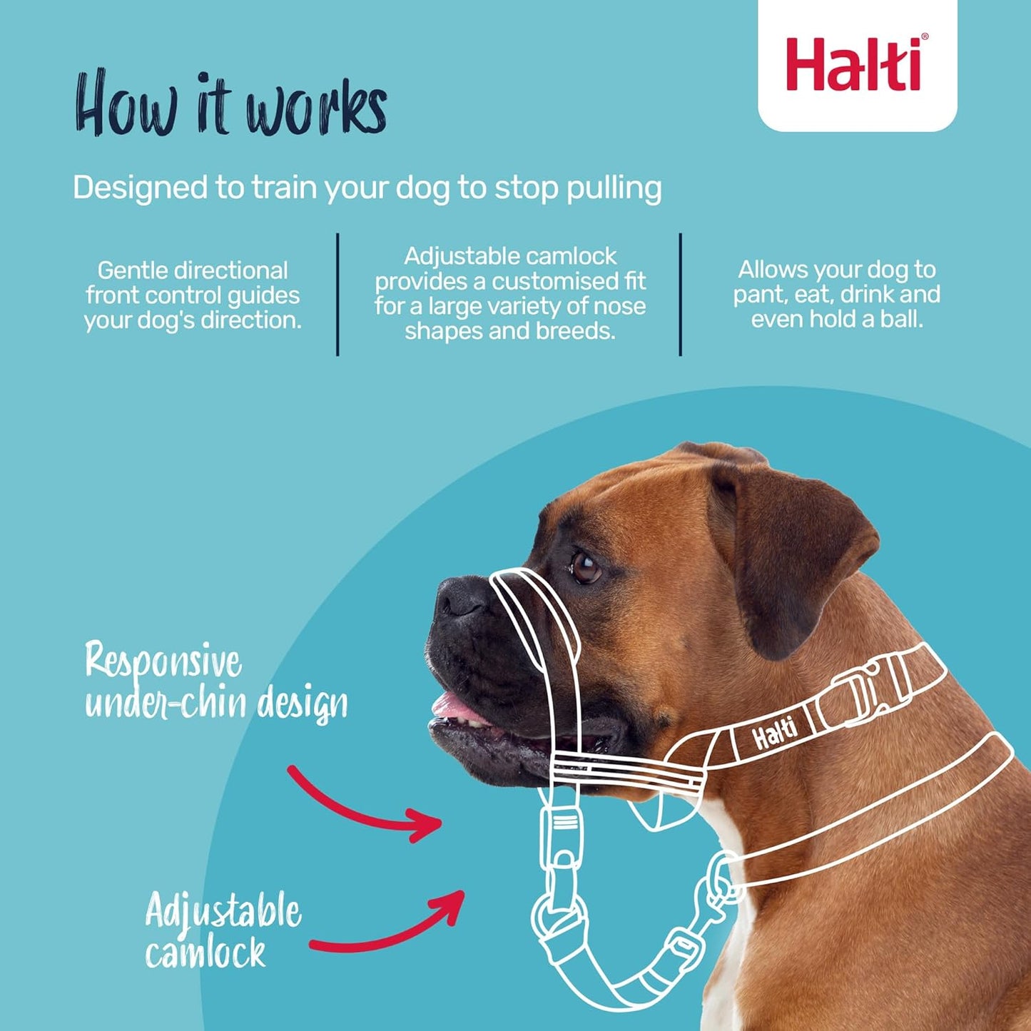 Halti Optifit Headcollar - Stop Your Dog Pulling on the Leash. Adjustable, Reflective and Lightweight, with Padded Nose Band. Dog Training Anti-Pull Collar for Medium Dogs (Size Medium)