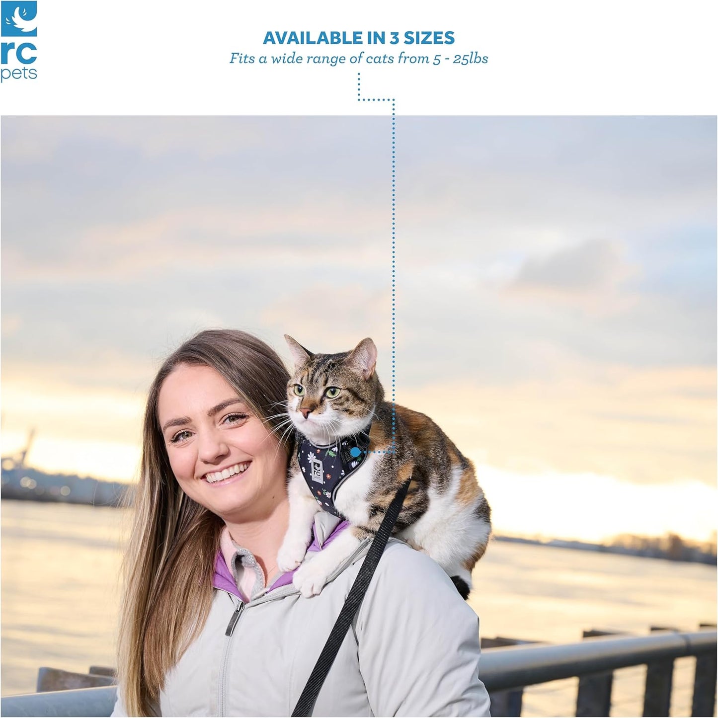 RC Pets Adventure Kitty Harness Includes Adjustable, Airmesh Fabric, 6' Leash and D-Ring Cat Walking Harness | Teal, Medium