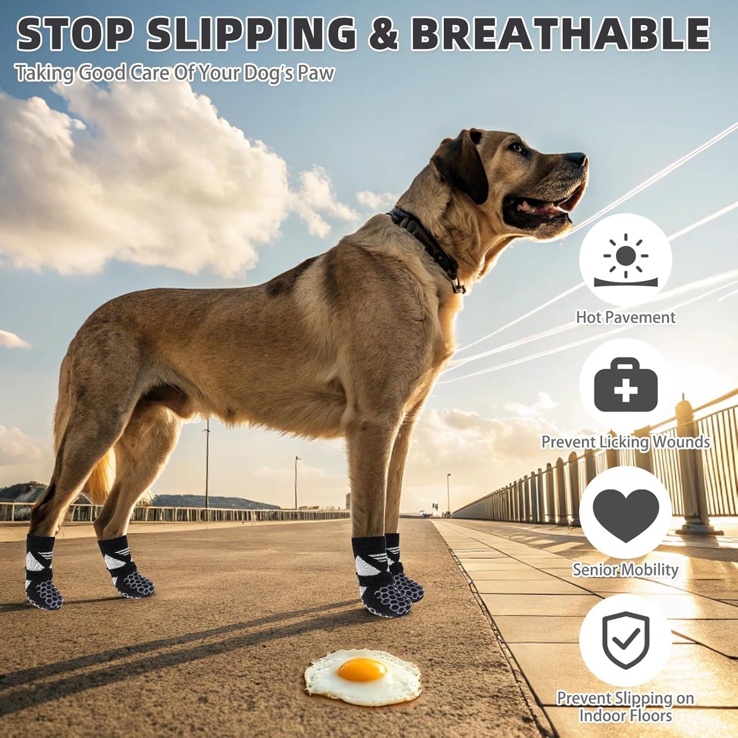 KOOLTAIL Dog Socks Shoes for Hot Pavement, Breathable & Warm Winter Dog Booties to Prevent Licking Paws for Small Medium Large Senior Dogs,Non Slip Grippy Pet Boots & Paw Protectors for Hardwood Floor