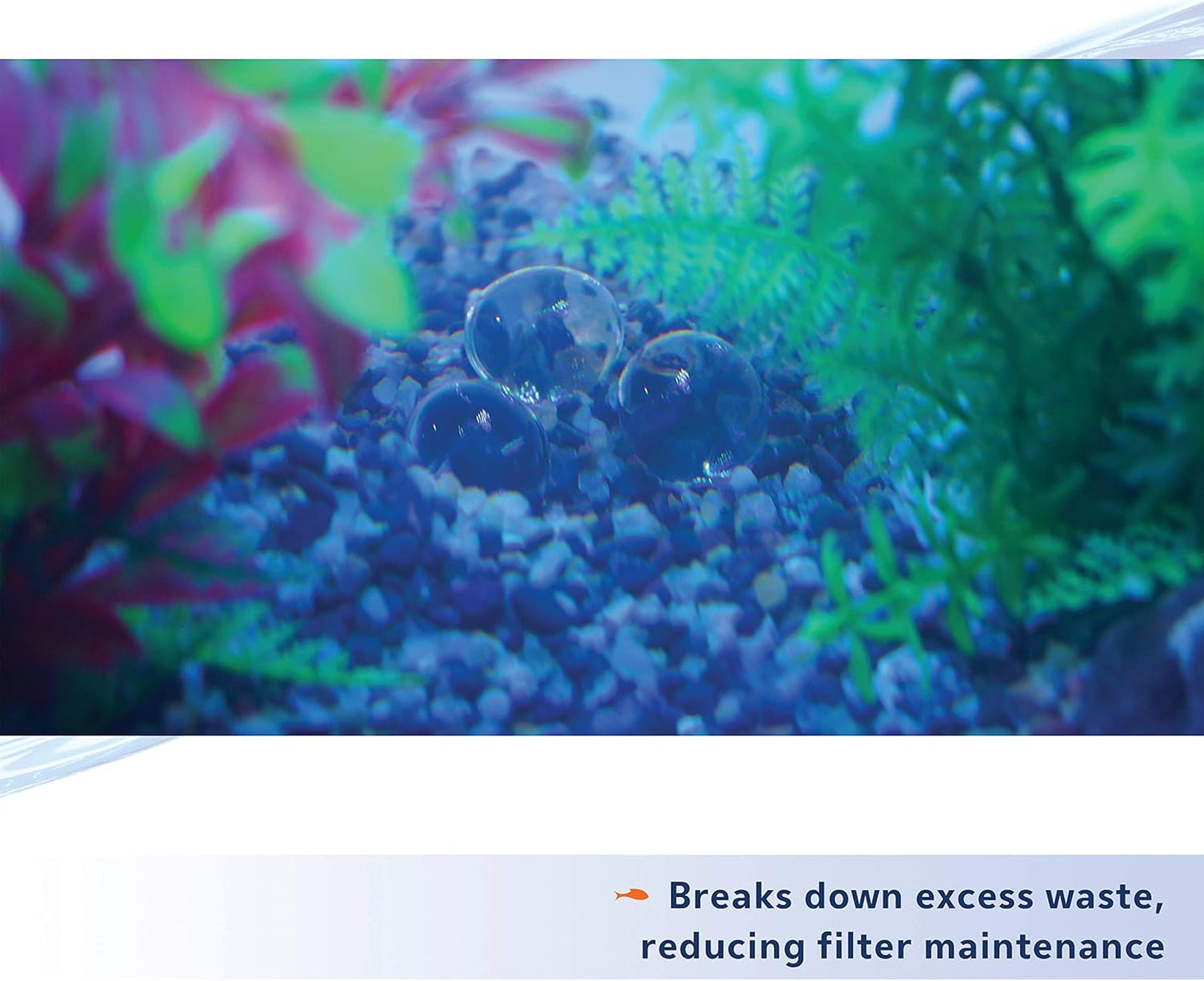 Aqueon Aqaurium Pure Live Bacteria and Enzymes Water Supplement, 10 Gallon 12 Pack
