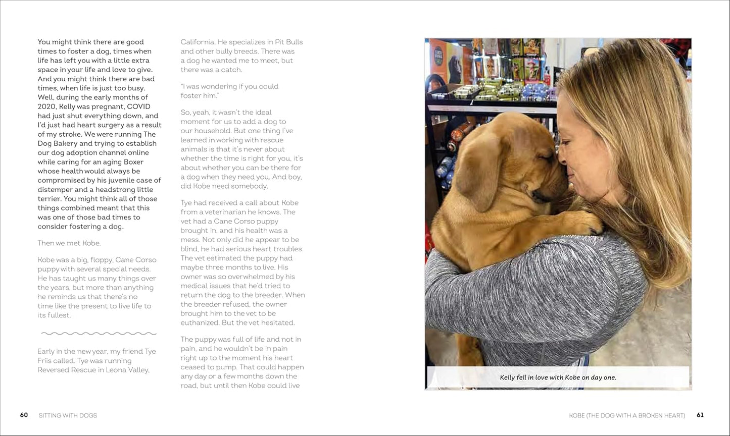 Sitting with Dogs: Stories of Rescue Dogs Going from Lost to Loved