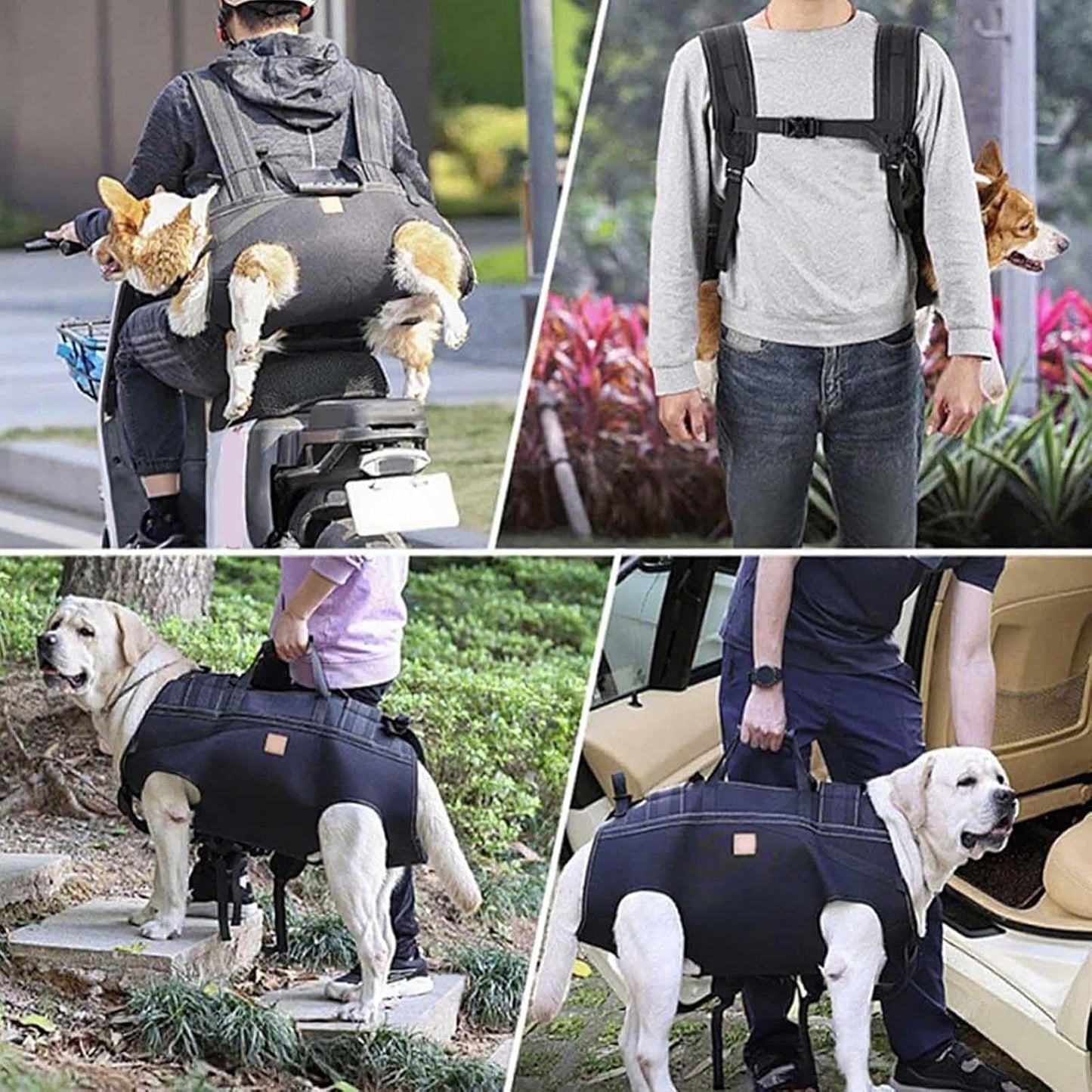Dog Lifting Harness | Adjustable Breathable Carrying Vest,Dog Support Sling,for Large Breed Senior Elderly Rehabilitation Mobility Aid Daily Walk Travel Hiking