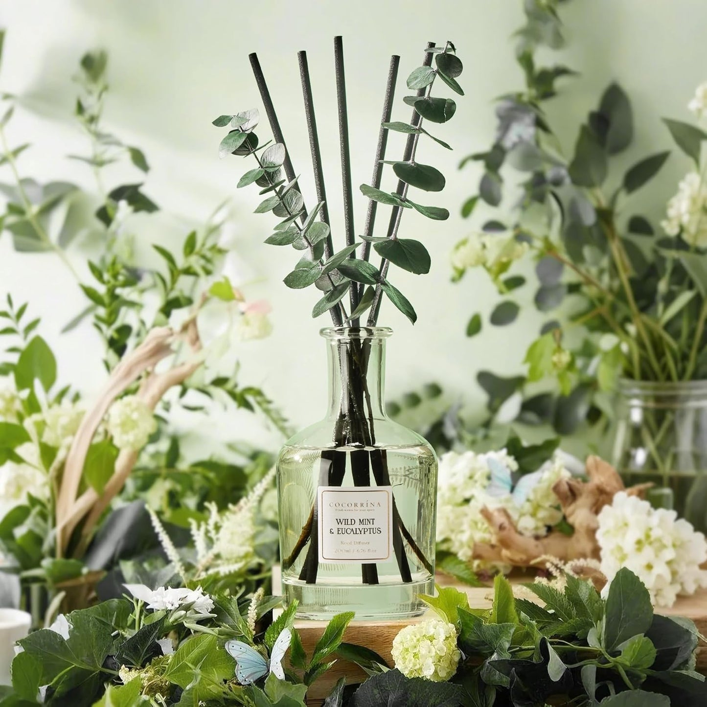 COCORRÍNA Eucalyptus & Wild Mint Reed Diffuser – 6.76 oz Essential Oil with 8 Reeds & Real Eucalyptus Sticks, Home Fragrance for Bedroom or Bathroom Décor