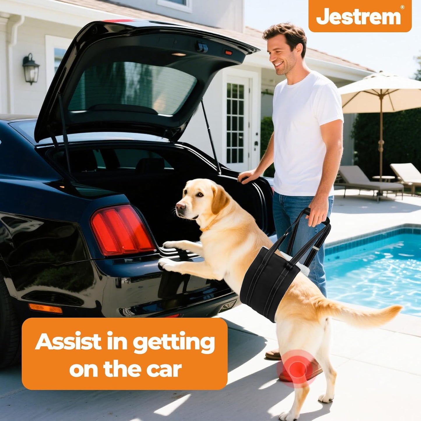 Dog Lift Harness, Adjustable Comfortable Dog Sling with Handle for Hind Leg Support Soft Lift Support and Rehab Harness for Weak Rear Legs, Helps Senior, Injured, Disabled and After ACL Surgery Dogs M