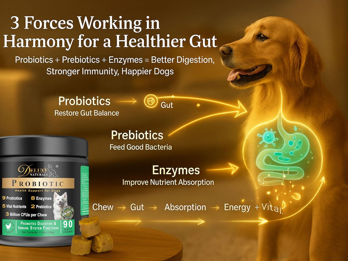 Probiotic Soft Chews for Dogs – 90 Count – Digestive & Immune Support with 9 Probiotics, 8 Enzymes, 2 Prebiotics & 5 Vital Nutrients – Chicken Flavor