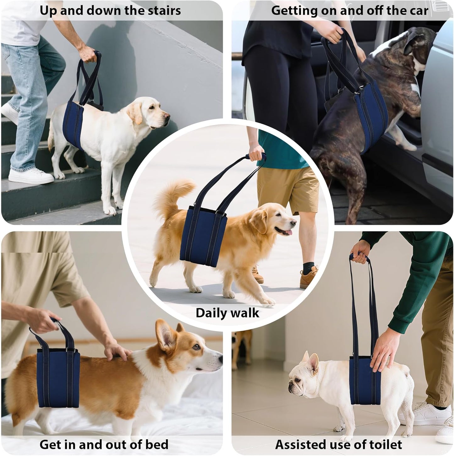 AIITLE Dog Lift Harness - Adjustable Mesh Sling with Reflective Strips & Padded Handles, Mobility Aid for Hip Dysplasia, CCL Surgery, Elderly Dogs (M, Navy-Blue)