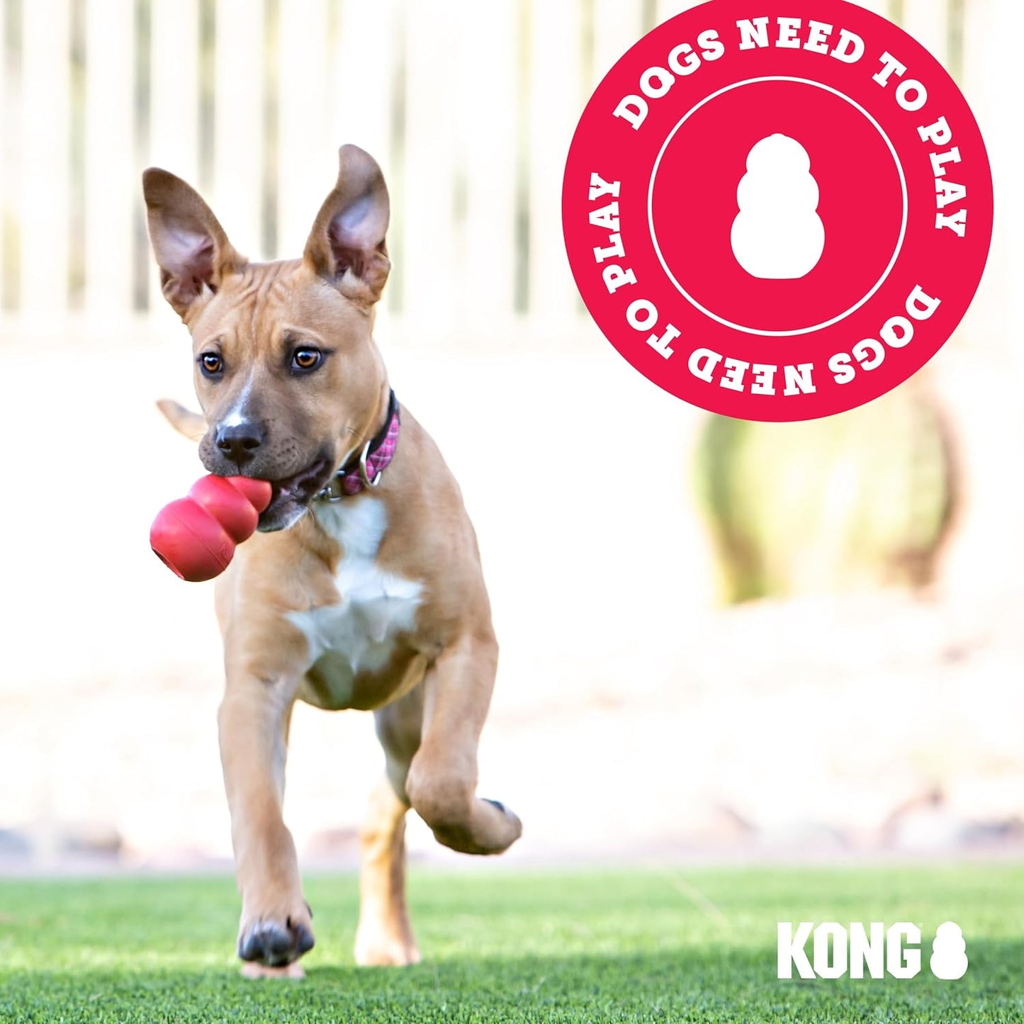 KONG Stuff-A-Ball - Durable, Natural Rubber Chew Toy for Dogs - Dental Health Pet Toy for Chewing & Teeth Cleaning - Stuffable for Treats & Snacks - for Large Dogs (Pack of 2)