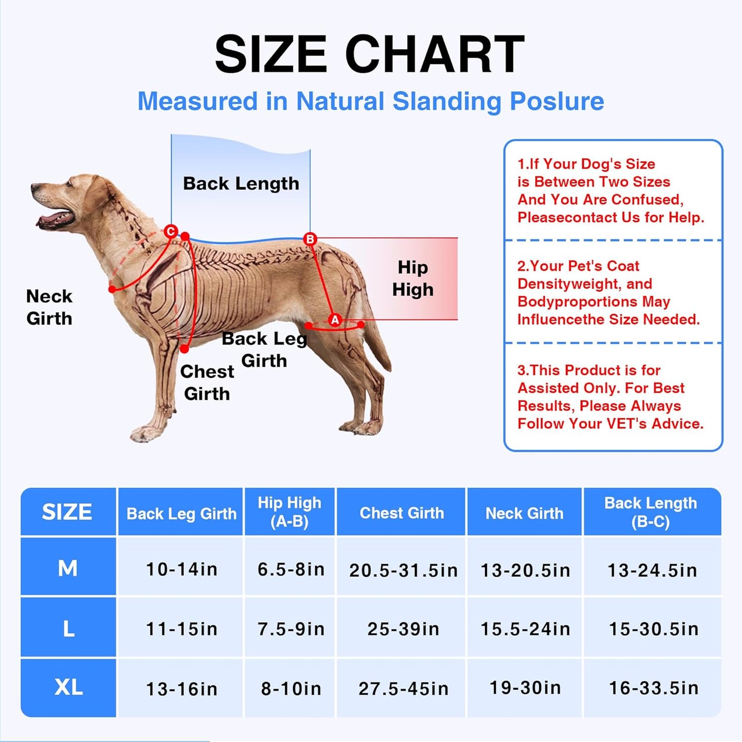 Dog Hip Dysplasia Brace with Removable Hot/Cold Pack — Breathable, Comfortable Hip & Rear-Leg Support for Mild ACL, Knee Instability & Mobility Comfort, Size L