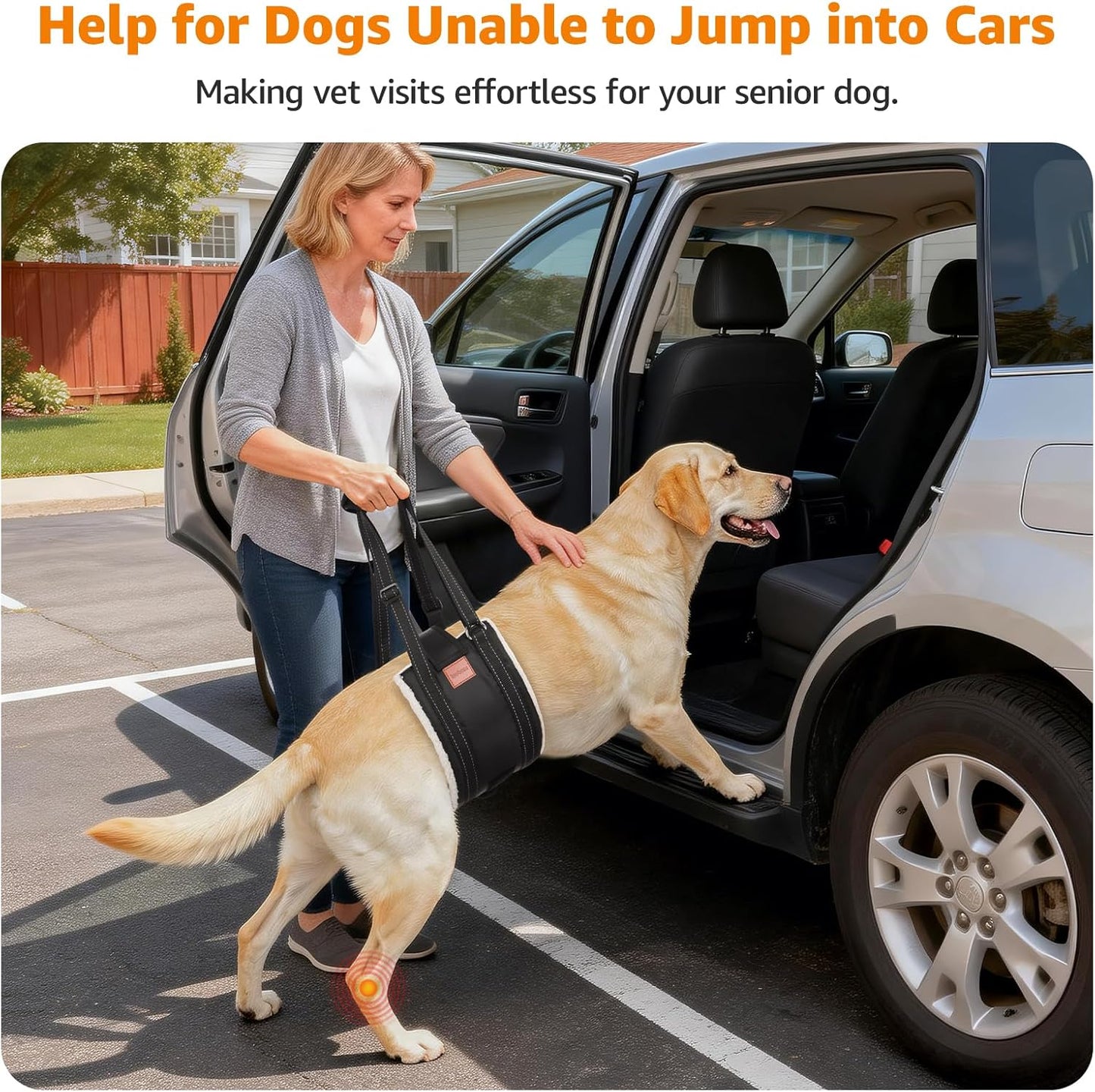 LOOBANI Dog Lift Harness for Back Legs, Portable Dog Sling for Large Dogs Hind Leg Support, Comfortable Leg Support Assistance for Elderly Dogs with Hip, ACL Brace, Senior, Injured