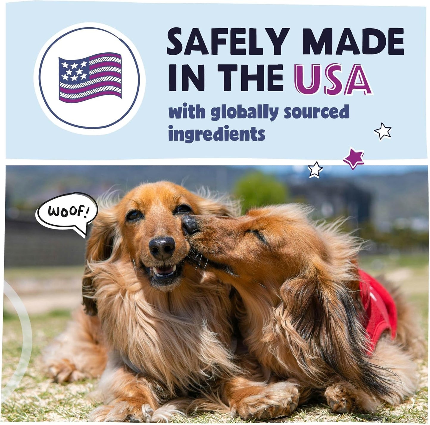 Pawstruck Natural No-Rinse Dry Shampoo for Dogs, Puppies, & Other Pets, Citrus & Rosemary - Waterless Deodorizing Spray Made in USA to Freshen & Remove Odors - 16 fl oz - Packaging May Vary