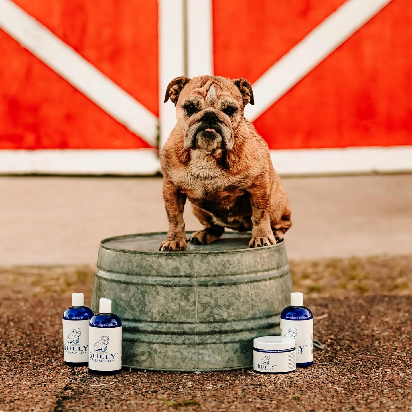 Bully Shampoo - Bulldog Dog Shampoo All Natural Organic Formula Refreshing Botanical Scent. Specifically for Bulldog Breeds and Itchy Skin. Leaves Skin and Coat, Soft, Shiny, Clean and Healthy!