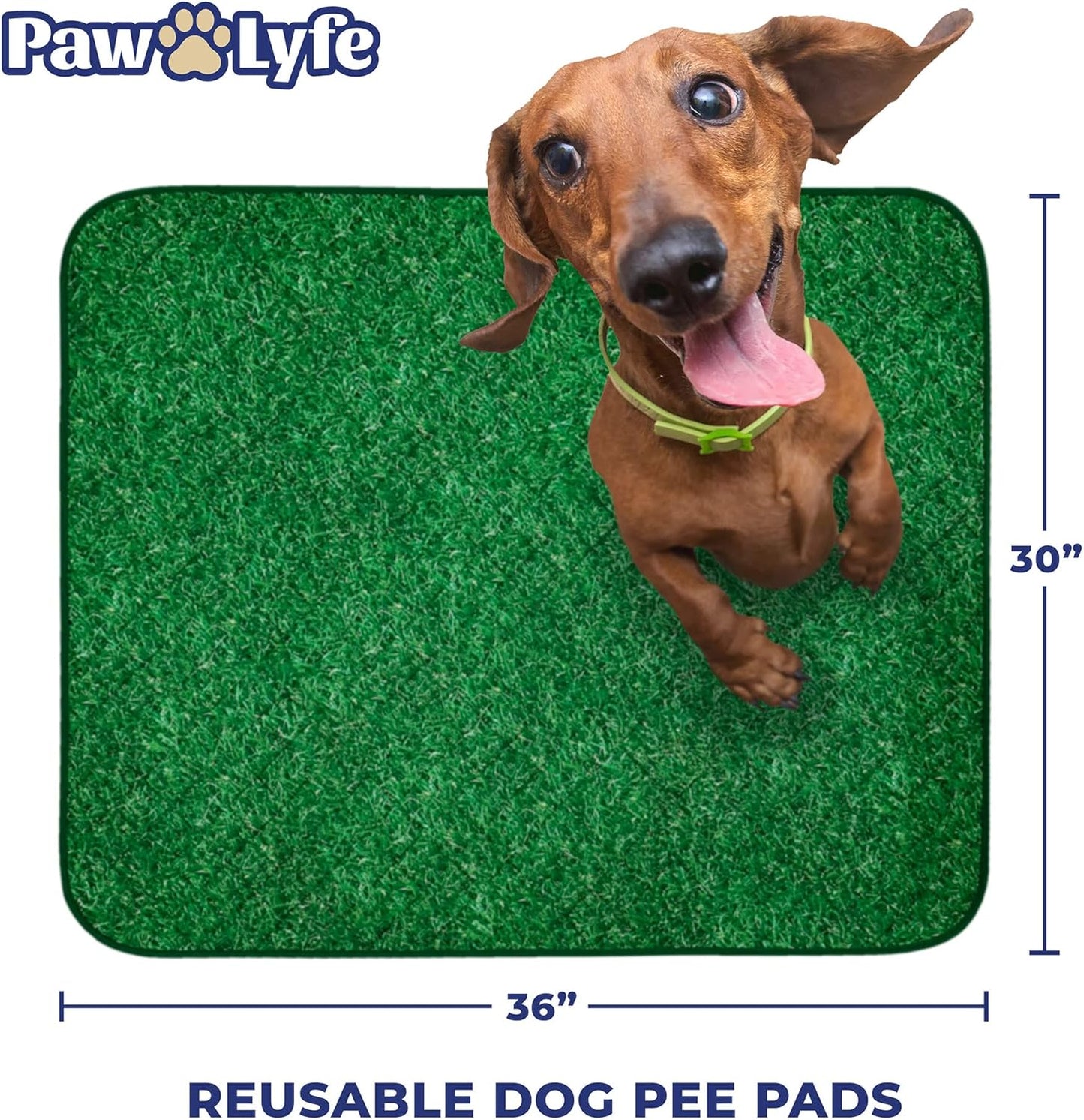 PawLyfe Reusable Pee Pads for Dogs - 2 Pack, 30" x 36" Washable Puppy Pads with Grass Print - Waterproof Dog Training Pee Mats - Non-Slip - Large Pet Pads for Indoors - Quilted Whelping Pads for Home