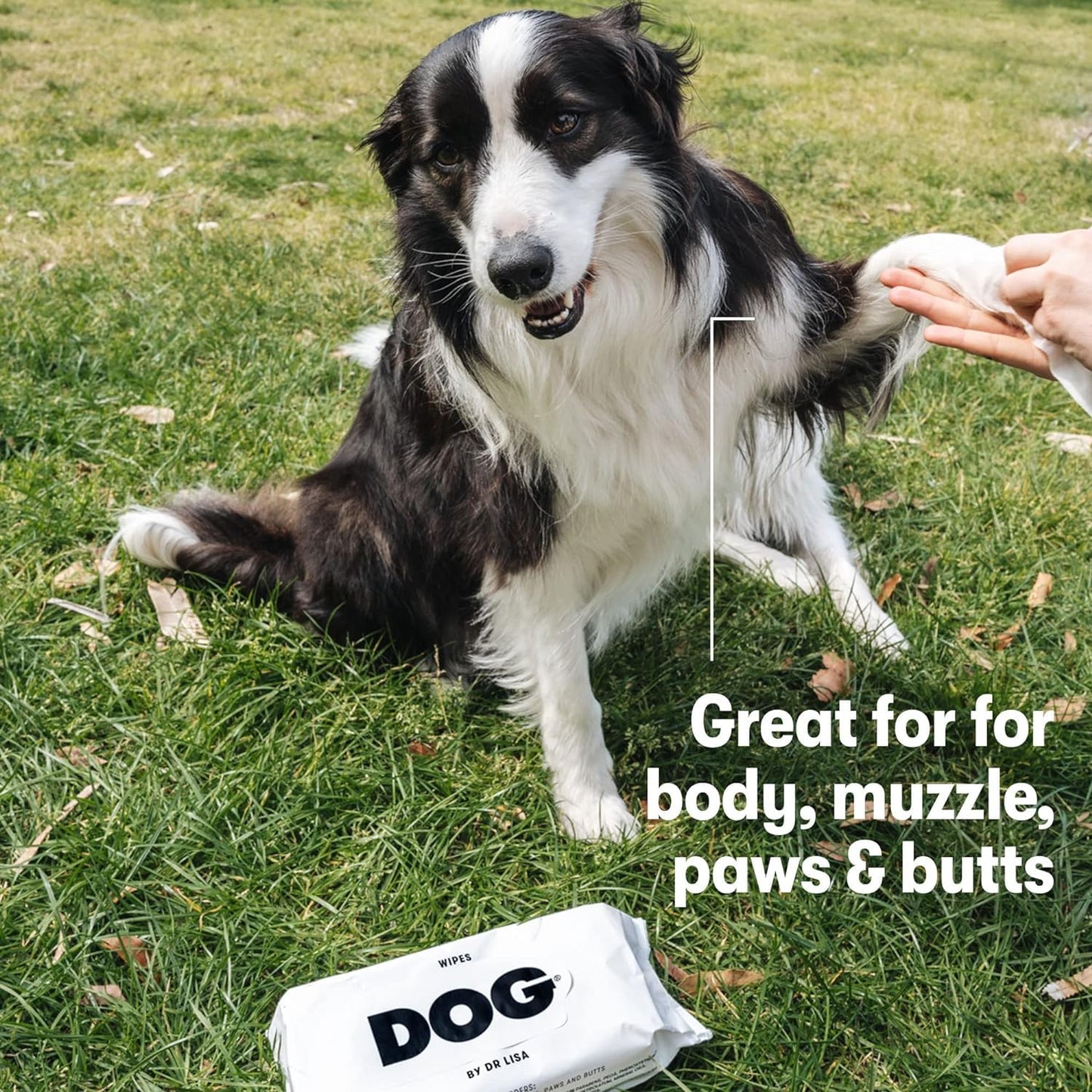 DOG by Dr Lisa - Dog Wipes - Plant-Based, Natural Bathing Wipes for Dogs - Made from 100% Compostable Bamboo - Vet-Created - Vegan, Non-Toxic - 240 Count