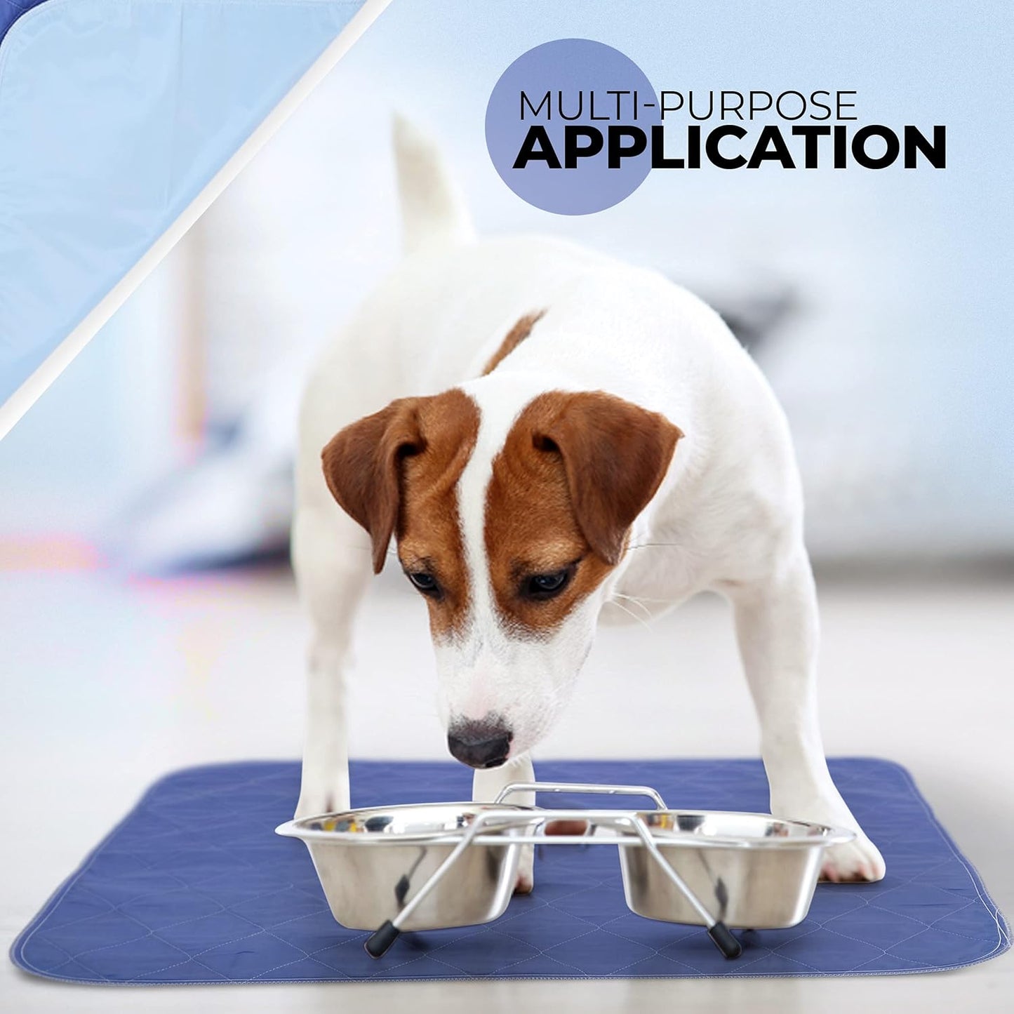 Beck’s USA Made Reusable Pet Pee Pads for Dog & Cat Pee Problems|Advanced Leak Free Design + Color Change Wetness Indicator| 1 Pad= 500 Disposable |Crate Training Waterproof Puppy Pad or Cat Pee Pad