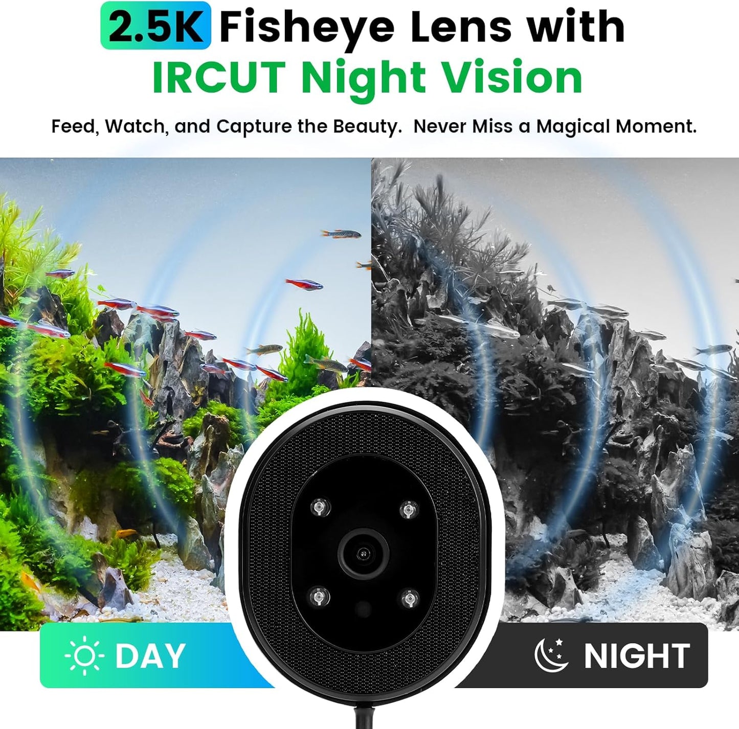 fishkeeper Automatic Fish Feeder for Aquarium Flakes, WiFi (2.4G/5.0G) & APP Control - Auto Fish Food Dispenser/Betta Fish Feeder with HD 2.5K Camera and Timer, Aquarium Feeder for Turtle Koi Tanks